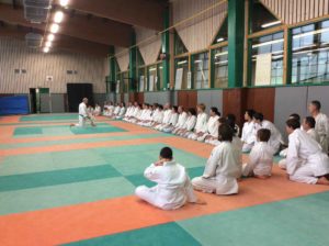 stage aikido cognin debutant