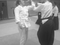 Aikido-Rentree-2024-Cognin29