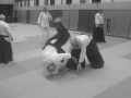 Aikido-Rentree-2024-Cognin49