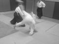 Aikido-Rentree-2024-Cognin56