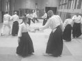 Aikido-Rentree-2024-Cognin8